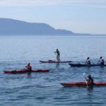 canoa stend up paddle