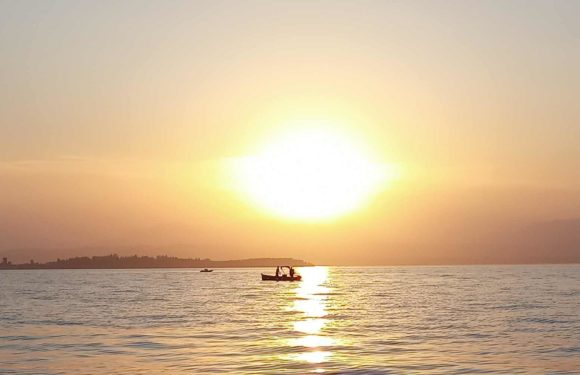 pesca all’ agone  o sarda