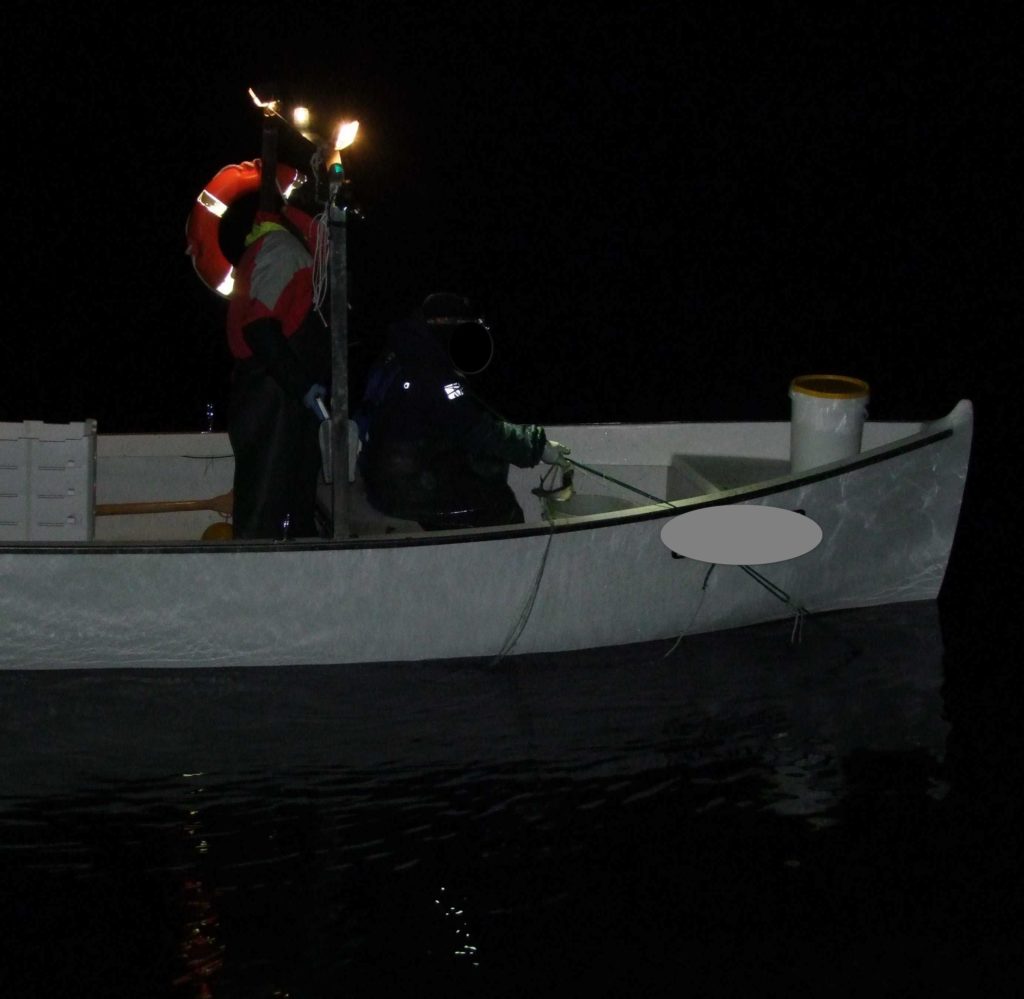 azione di pesca  per il ripopolamento ittico nella stagione della frega dei coregoni
