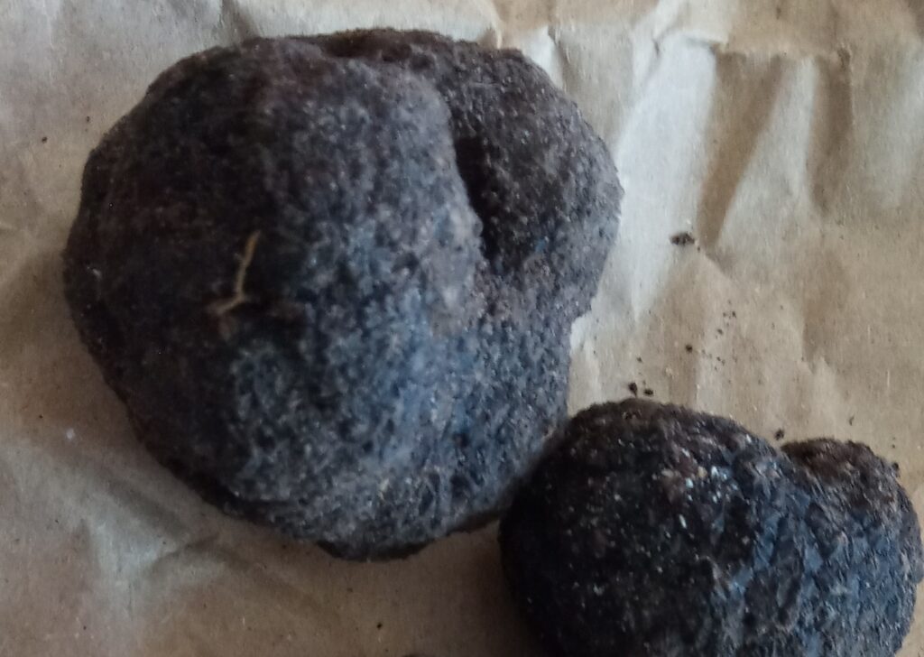 tartufo nero di Bagnoli